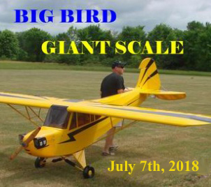 Big Bird 2018