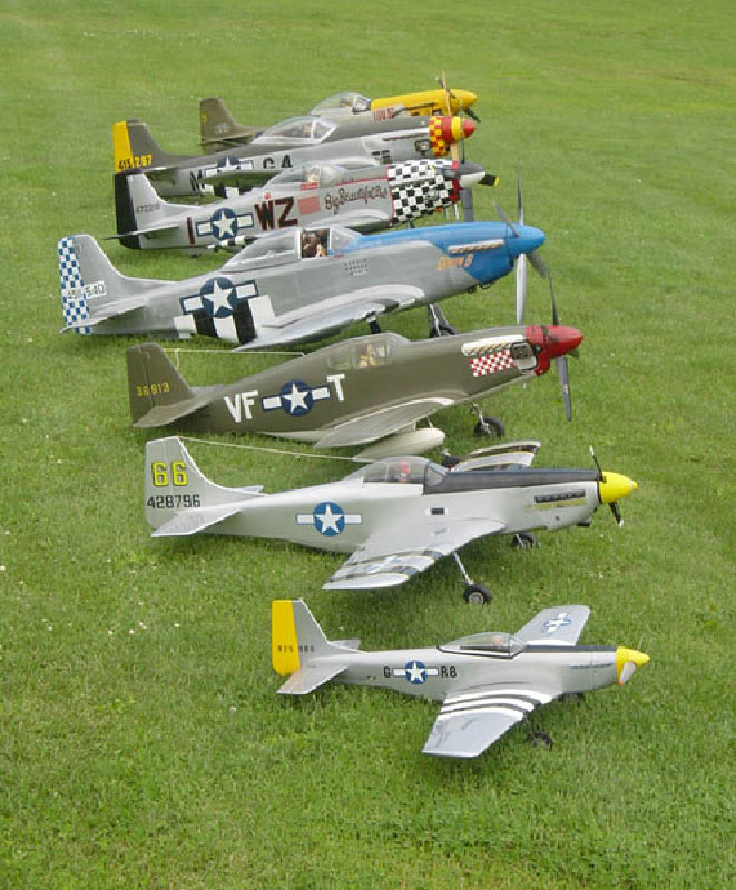 7 Mustangs 1
