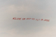 237 Dave McDonald Cub Banner a