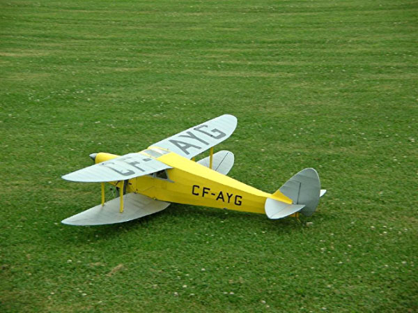 moth_3_10