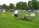 strutter_16.jpg_25