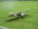 strutter_17.jpg_1