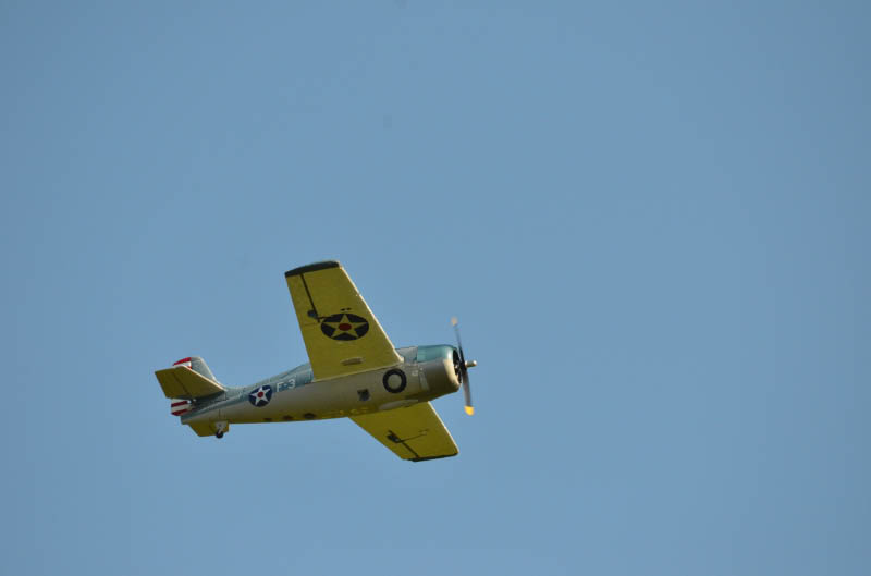 DSC_4304