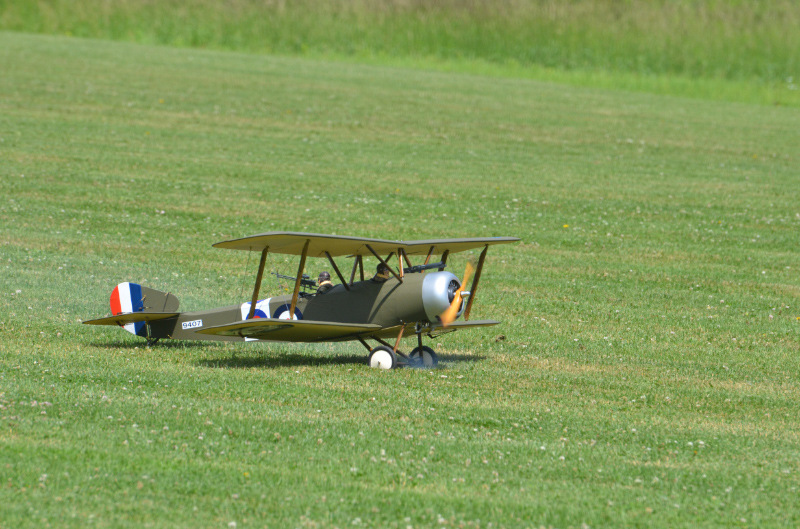 DSC_3603