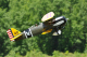 CSC_1540