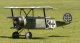 GLS_DSC_3505