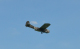 GLS_DSC_3660
