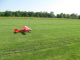 Big Bird-2015-RCCD 007
