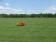 Big Bird-2015-RCCD 032