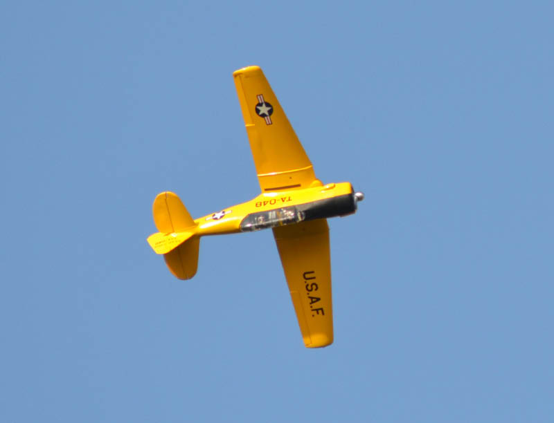 DSC_2229 s
