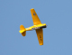DSC_2229 s